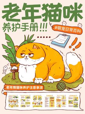 【科普小知识】🐱家有老年猫猫必看📣日常养护看这篇就够💡