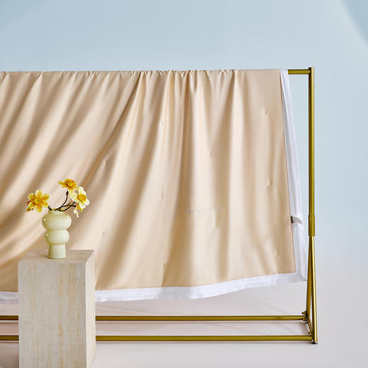 多喜爱 悦己花开蚕丝夏被系列【柞蚕丝填充】【60S天丝棉面料】【精美绣花】【A类标准】【可水洗】【手提包包装】 轻盈透气 柔润丝滑 亲肤凉爽  吸湿透气 紫鸢/蓝星/金葵 商品图4