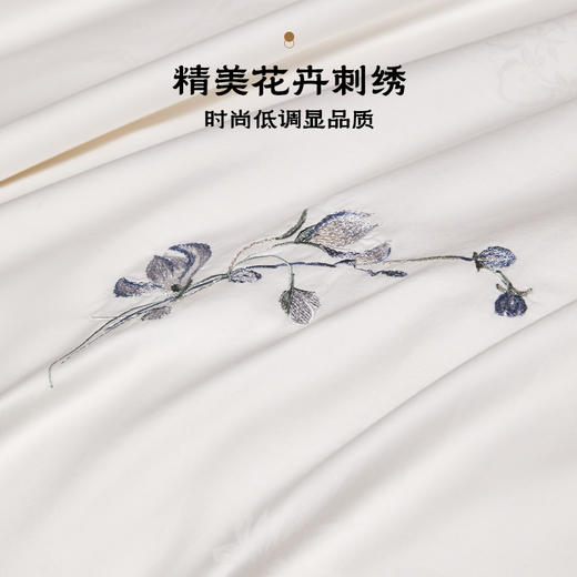 多喜爱 婉颂清扬桑蚕丝被/冬被/子母被【100%桑蚕丝长丝】【80S提花天丝棉】【内外双A品质】【缎纹大提花工艺】【双层边&花边】【40CM检测开口】【皮箱包装】巴马桑蚕长丝 双宫茧丝 千米长丝 商品图3