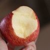 猫太推荐—甜脆刚刚好的苹果🍎 商品缩略图1