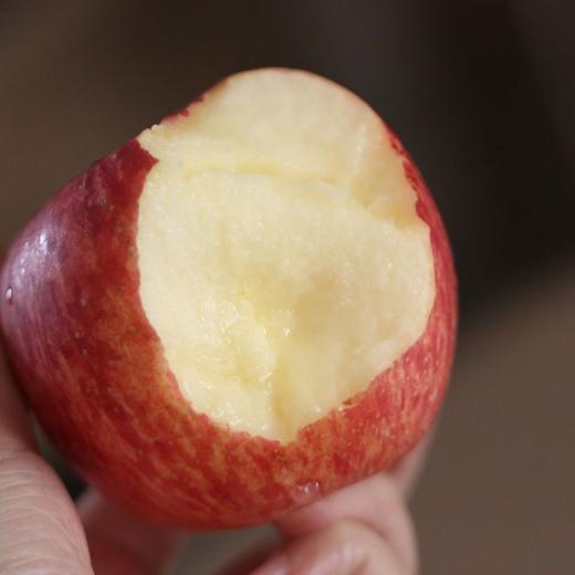 猫太推荐—甜脆刚刚好的苹果🍎 商品图1