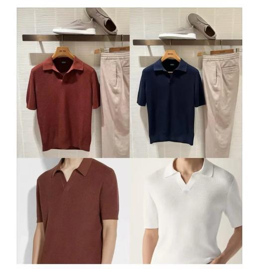 家属福利  重磅渠道   杰尼古巴领polo   桑蚕丝棉麻混纺   高端面料 商品图0
