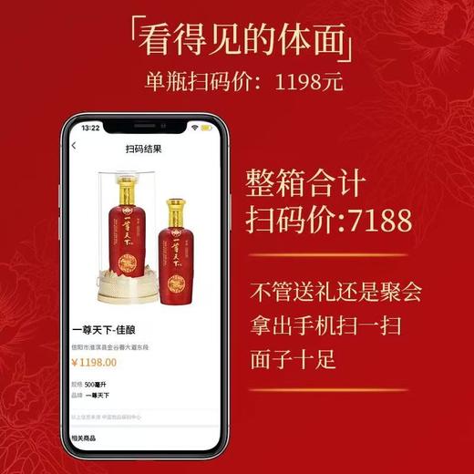 2023年五粮液一尊天下佳酿，52度浓香型白酒，整箱500ml*6瓶，每箱3个礼袋。 商品图4