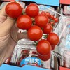 周三取货：【一颗大樱桃番茄】 一盒8两左右，香甜！爆汁！番茄味浓郁！ 商品缩略图1