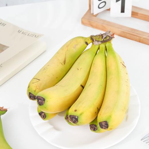 【斌哥优选】云南威尼斯香蕉。top级稀有极品香蕉，超甜。只发单根3-4两一级蕉，软糯丝滑如奶油~ 商品图1