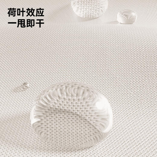 【分销】花觉超大配色高尔夫伞，30寸8骨，比普通伞大多人可用 商品图5