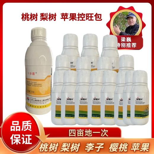 控旺包  桃树  梨树 苹果 李子 樱桃 商品图0