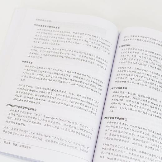 DevSecOps极简入门 商品图4