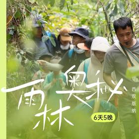 4.26/4.29出发丨西双版纳雨林奥秘6日营