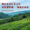 八马茶业 武夷红茶骏眉红茶礼盒装 商品缩略图2