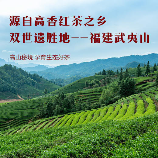 八马茶业 武夷红茶骏眉红茶礼盒装 商品图2