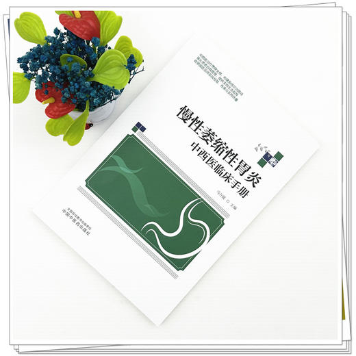慢性萎缩性胃炎中西医临床手册 马万援 主编 中国中医药出版社 商品图1