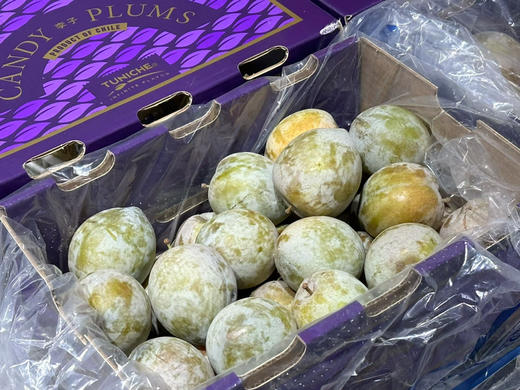 智利TUNICHE蜂蜜月李🍯

这颗李子直接把酸甜党狠狠拿捏😭 商品图5