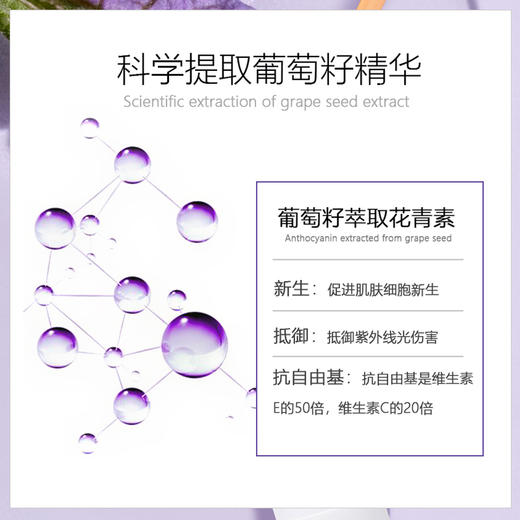 修护熬夜肌🌛【美国MERLOT墨兰本葡萄籽保湿抗皱日霜/晚霜】1+1大于2的组合搭配🧴日霜介于霜与乳之间，清爽又水润💦晚霜乳霜质地，很好推开 商品图7