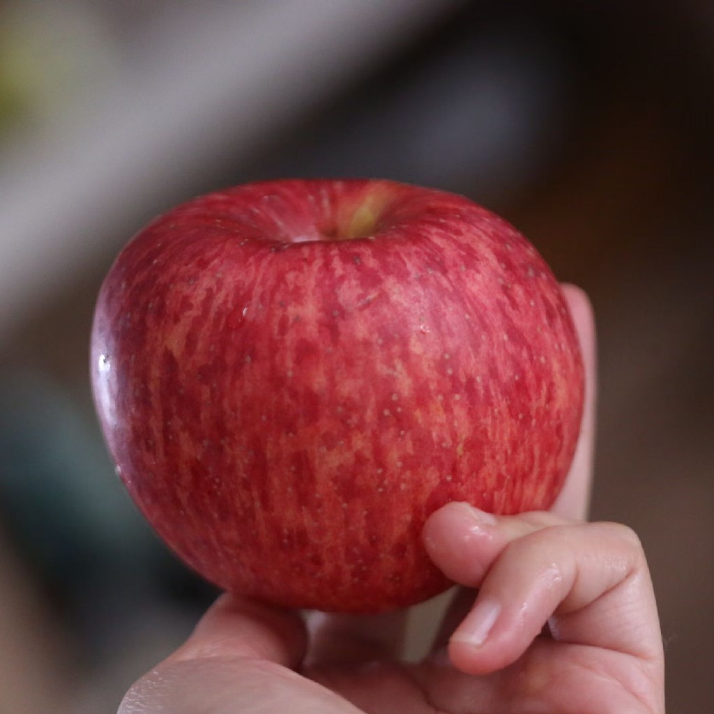 猫太推荐—甜脆刚刚好的苹果🍎