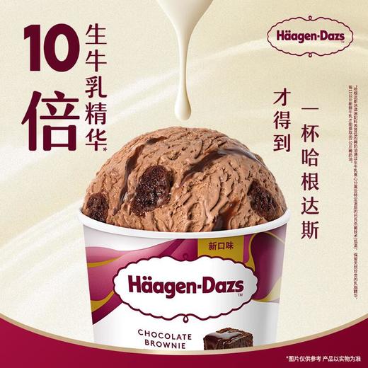 哈根达斯巧克力风味布朗尼冰淇淋77g 商品图4