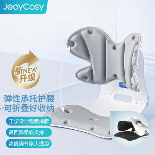 【自营】践程护腰坐垫SC03 商品图0