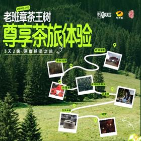 3天2晚老班章茶王开采见证朝圣茶旅 茶频道带团 高端茶旅 落地接待