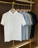 6色可选 罗蒙男士7A抗菌纯棉Polo 商品缩略图1