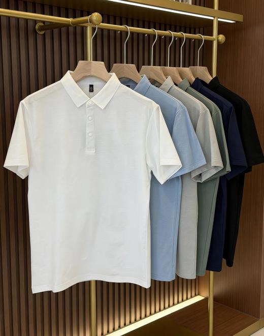6色可选 罗蒙男士7A抗菌纯棉Polo 商品图1