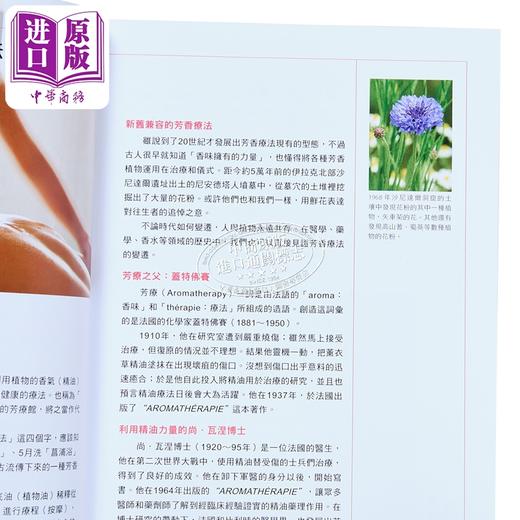 【中商原版】芳香疗法圣经 和田文绪 大树林出版 精油参考书 港台原版 温佑君推荐 商品图3