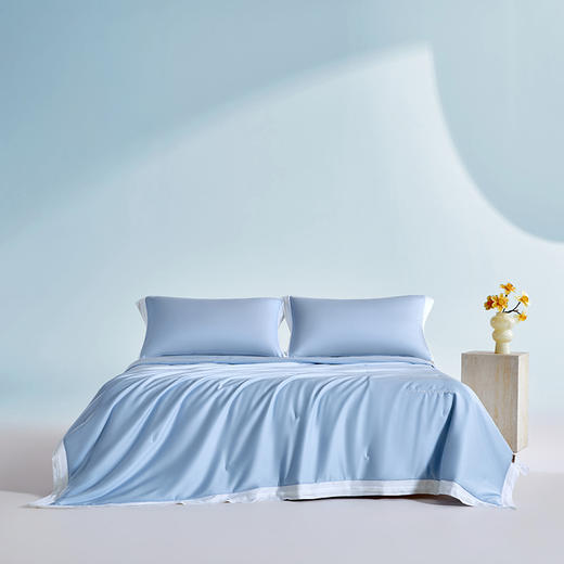 多喜爱 悦己花开蚕丝夏被系列【柞蚕丝填充】【60S天丝棉面料】【精美绣花】【A类标准】【可水洗】【手提包包装】 轻盈透气 柔润丝滑 亲肤凉爽  吸湿透气 紫鸢/蓝星/金葵 商品图5