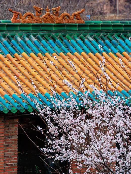 【京郊春日私语&美入佳境】---解锁长城脚下的轻奢瓦厂两日游 商品图5