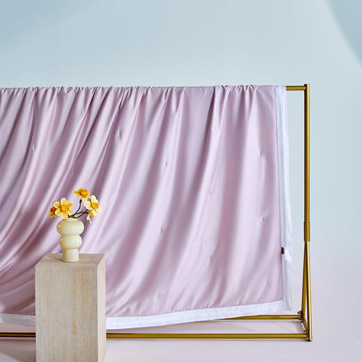 多喜爱 悦己花开蚕丝夏被系列【柞蚕丝填充】【60S天丝棉面料】【精美绣花】【A类标准】【可水洗】【手提包包装】 轻盈透气 柔润丝滑 亲肤凉爽  吸湿透气 紫鸢/蓝星/金葵 商品图11