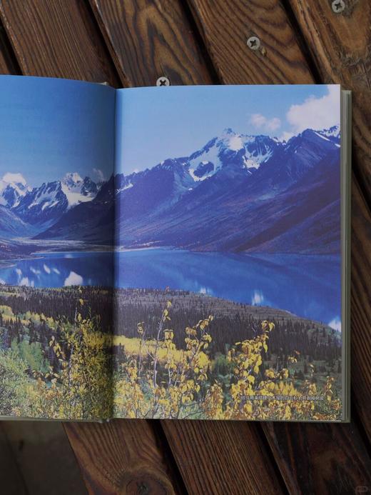 【首发限赠】独居荒野（精装），美国国家户外图书奖获奖作品，畅销全球50周年纪念版。远离人类，放逐荒野，独居阿拉斯加30年的山人日记。心向荒野，与世界保持诚实的距离。 商品图12