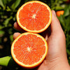 中华红血橙，清甜多汁，5斤装10-15个，发京东陆运 商品缩略图0