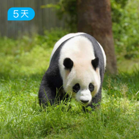 何以天府｜亲子研学 行走古蜀读懂天府，专家伴学
