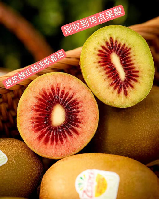 新西兰佳沛红心奇异果 商品图1
