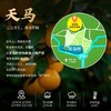 泓达堂·2020年天马单片新会陈皮50g*2盒  浅棕带红 香气浓郁 商品缩略图4