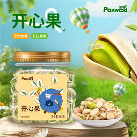 派喔开心果208g