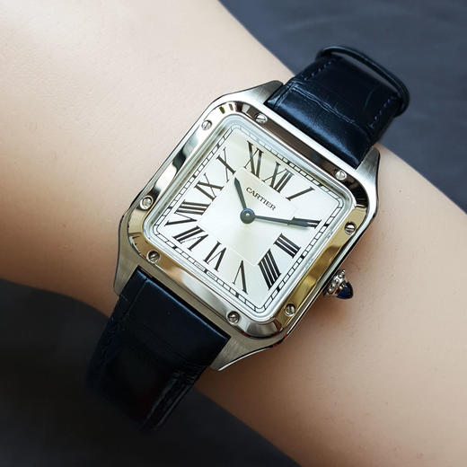 【95新】CARTIER 卡地亚WSSA0023石英机芯27.5*38MM（含表耳 女款）山度士系列精钢010426NJT24 商品图8