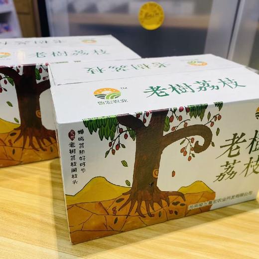 老树桂花香荔枝（约2.5斤） 商品图2