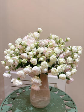 A级白泡芙多头玫瑰3扎