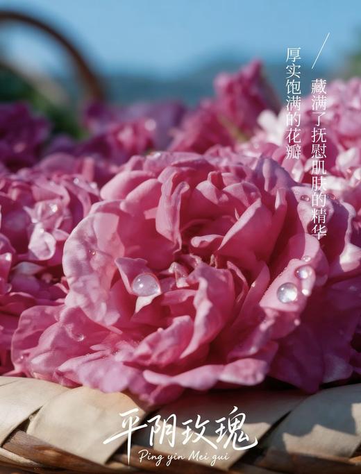 【活动款】玫瑰纯露特惠套组 草本护肤 商品图5