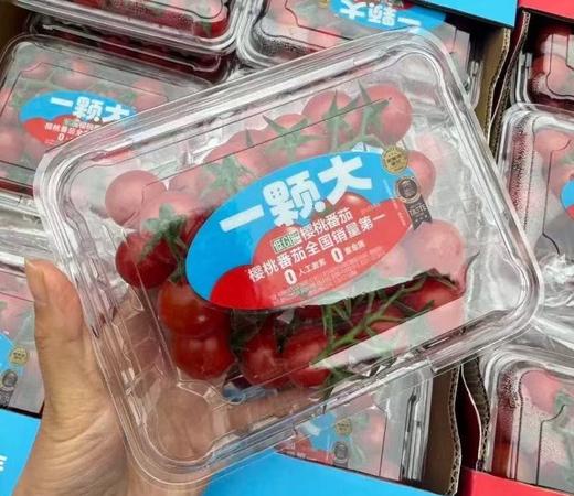 周三取货：【一颗大樱桃番茄】 一盒8两左右，香甜！爆汁！番茄味浓郁！ 商品图4