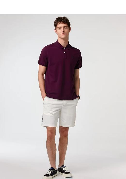 点此购买 哈吉斯夏季男士商务休闲翻领POLO短袖T恤 ggd 344545 商品图10