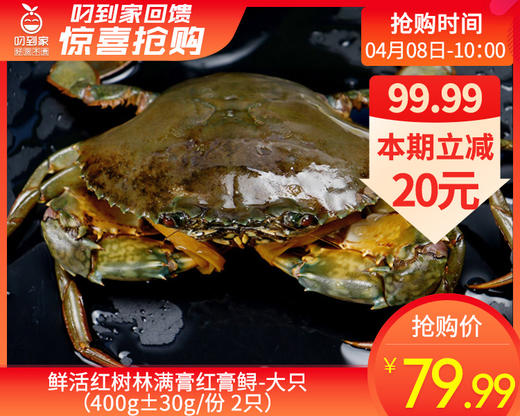 鲜活红树林满膏红膏鲟-大只（400g±30g/份 2只） 商品图0