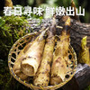 【临安天目山春笋】头茬现挖 原产地直发 脆甜多汁怎么做都好吃~ 商品缩略图0