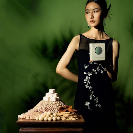 黄芪四神伏湿膏 商品图2