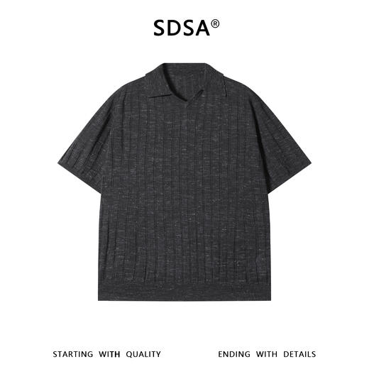SDSA男装2026新款高贵轻奢慵懒风竖纹设计海鸥领短袖T恤百搭休闲 商品图0