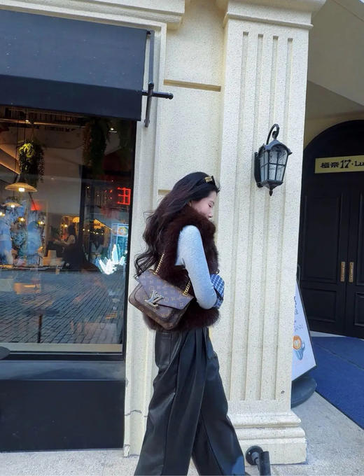 LV PASSY 棕色 新款 老花 邮差包 商品图2