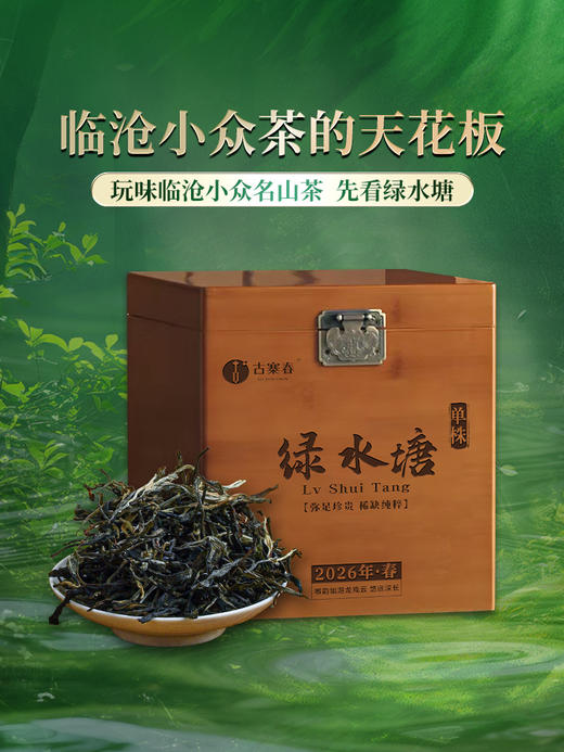 4月9日中午12点【积分兑换价：280元+2000积分】【绿水塘单株】2026年春茶预售临沧茶区普洱生茶小众山头天花板500克/箱，拍5发6 商品图7