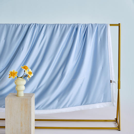 多喜爱 悦己花开蚕丝夏被系列【柞蚕丝填充】【60S天丝棉面料】【精美绣花】【A类标准】【可水洗】【手提包包装】 轻盈透气 柔润丝滑 亲肤凉爽  吸湿透气 紫鸢/蓝星/金葵 商品图9