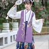 【团购】【苏城纪】清仓特价款明制汉服-明兰3件套 商品缩略图6