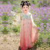 【团购】【苏城纪】汉服女童襦裙楚薇 商品缩略图8