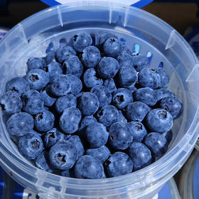 亮眼莓🫐蓝莓 净果400g  脆甜带花香  23.8/蓝 预定价 规格15+